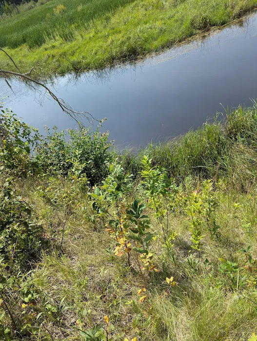 Fox Trap Watercraft Campsite Picture 3