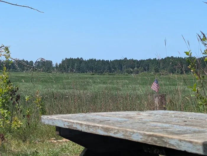 Fox Trap Watercraft Campsite Picture 6