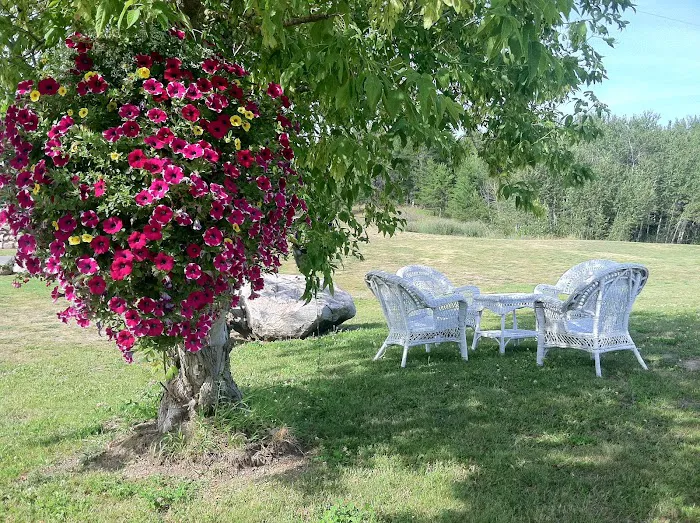 The Black Lantern Resort & Campground Picture 4