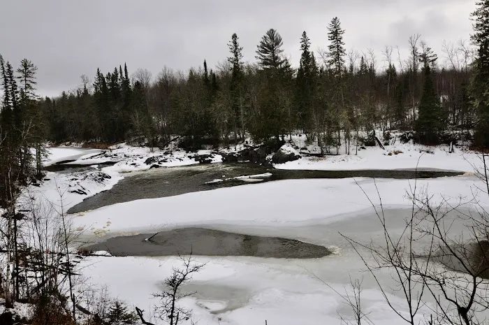 Koochiching State Forest Picture 6