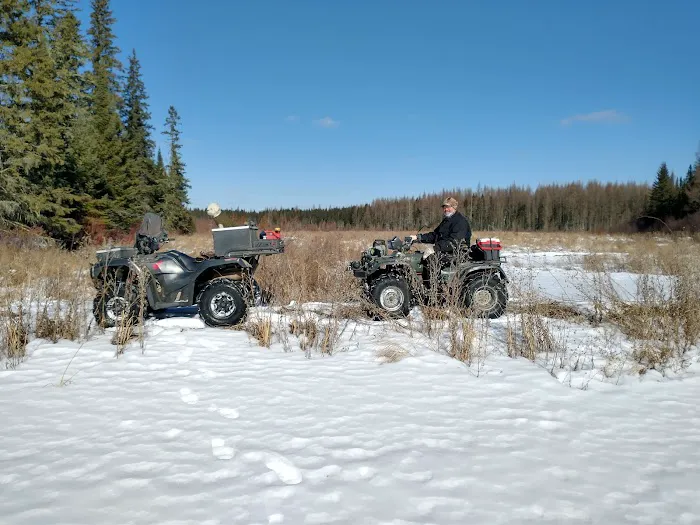 Koochiching State Forest Picture 8