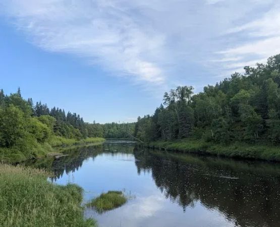 Sturgeon River Watercraft Campsite