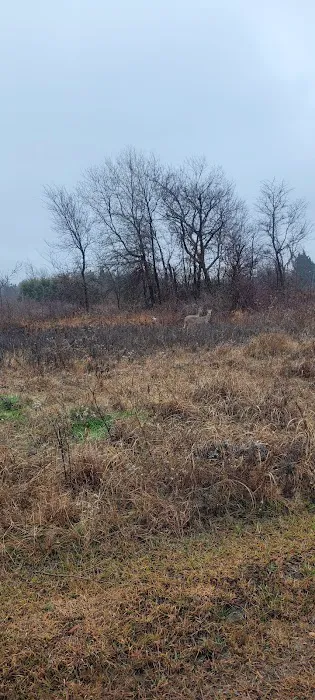 Liberty Grove CampGround Picture 1