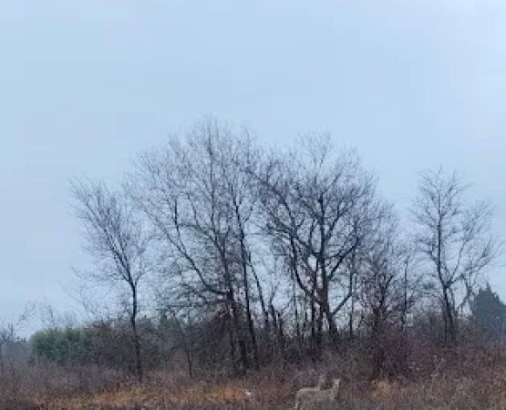 Liberty Grove CampGround