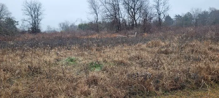 Liberty Grove CampGround Picture 2