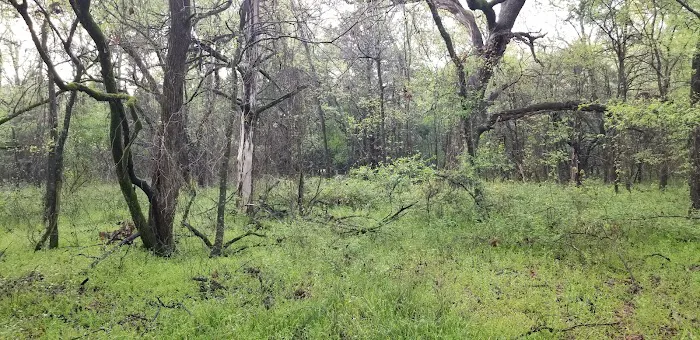 Liberty Grove Campground Picture 1