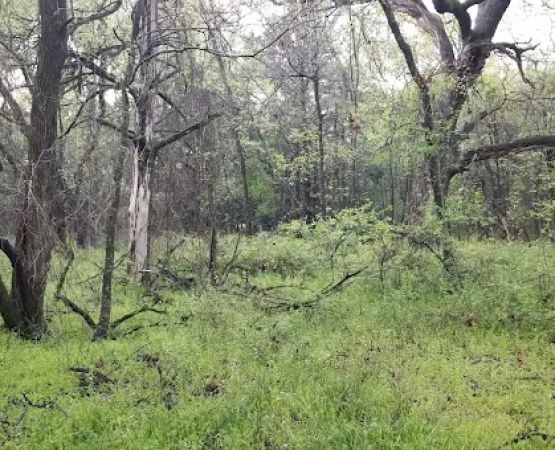 Liberty Grove Campground