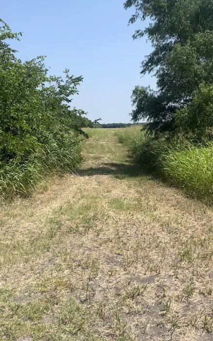 Camp Elements Picture 1