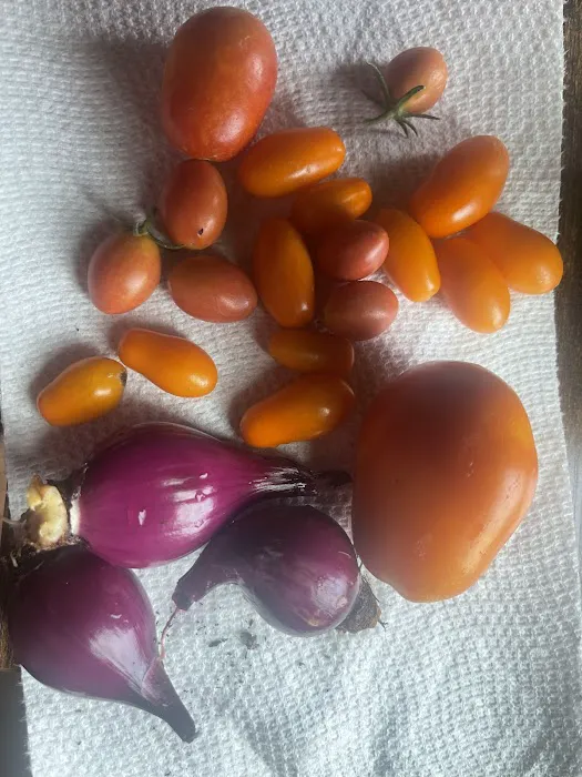 Camp Elements Picture 2