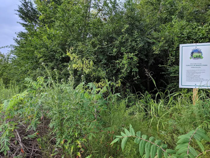 Tom Ellis White Campground Picture 3