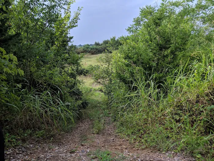 Tom Ellis White Campground Picture 10