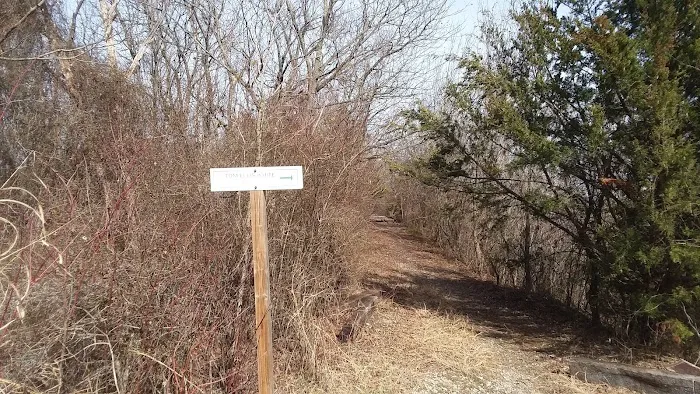 Tom Ellis White Campground Picture 7