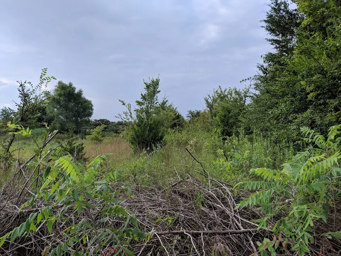 Tom Ellis White Campground Picture 8