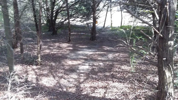 Tom Ellis White Campground Picture 9