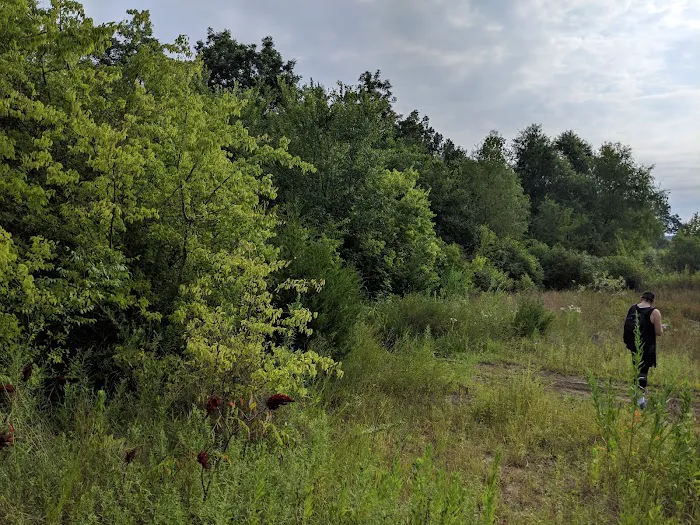 Tom Ellis White Campground Picture 2