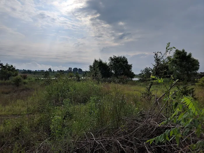 Tom Ellis White Campground Picture 6