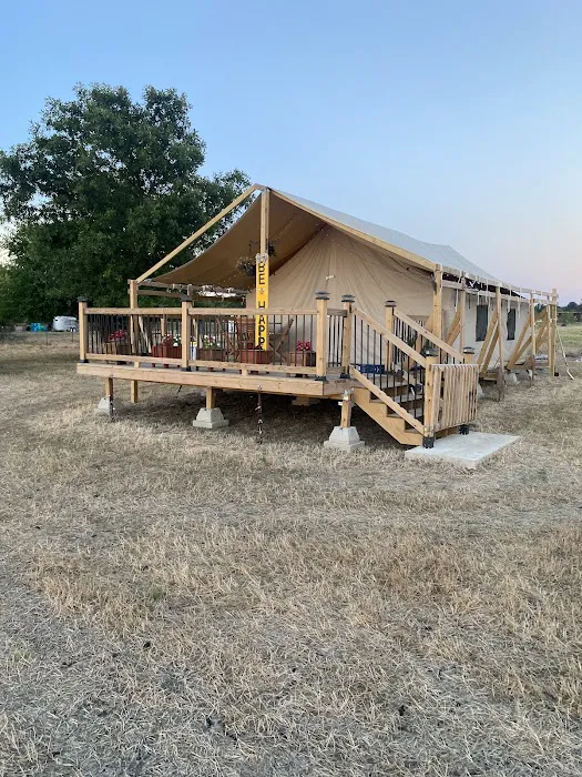 Glamp Like a Champ Picture 4