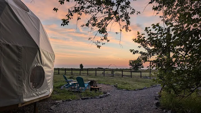 Dallas Glamping Adventures LLC Picture 2