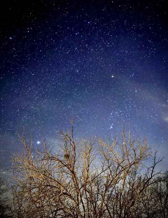 Dallas Glamping Adventures LLC Picture 3