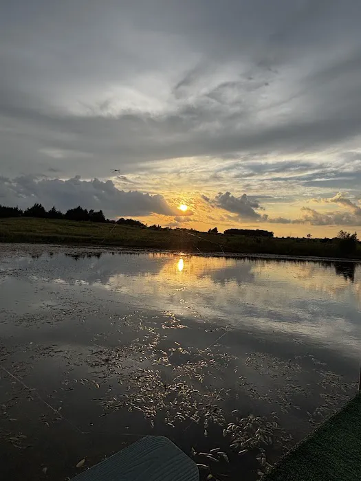 Dallas Glamping Adventures LLC Picture 6