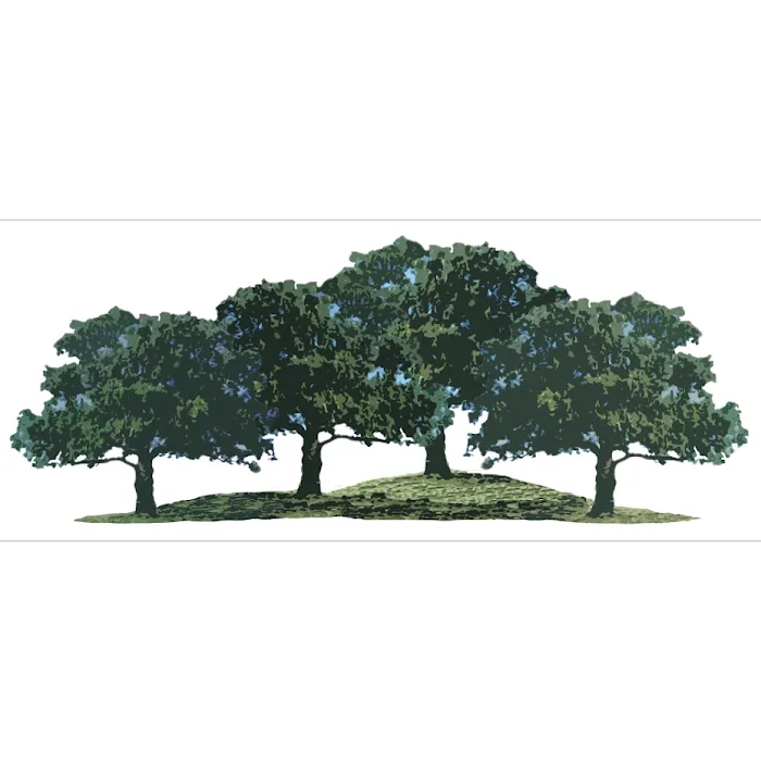 Four Oaks RV Resort Picture 3