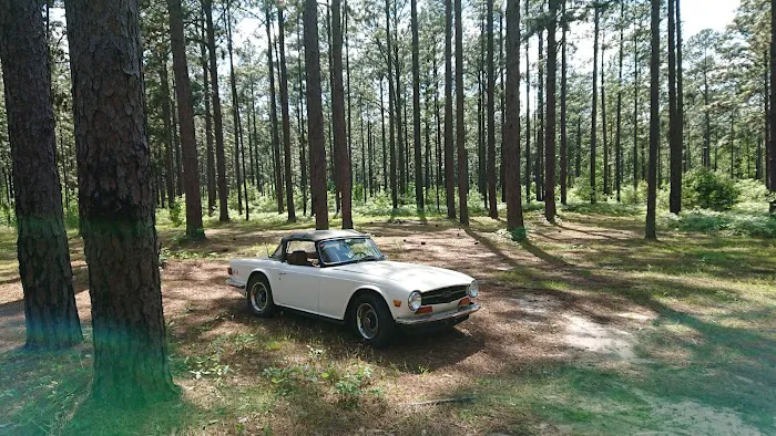 Camping Area Picture 6