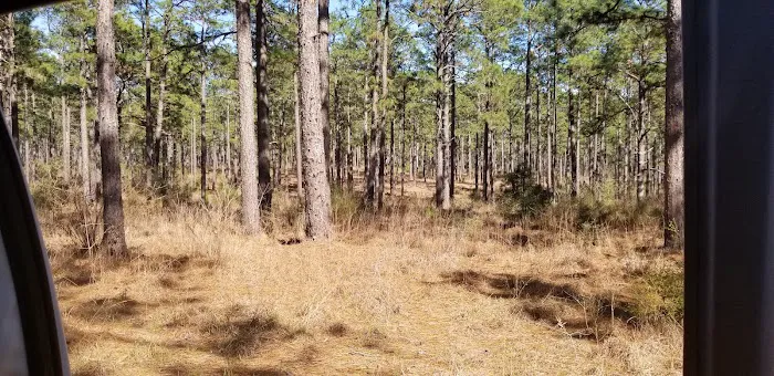 Camping Area Picture 2