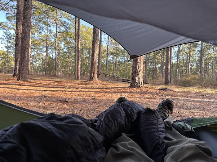 Camping Area Picture 4