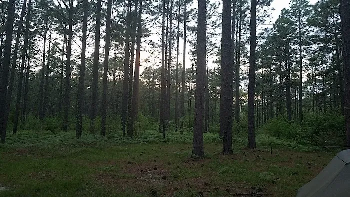 Camping Area Picture 3