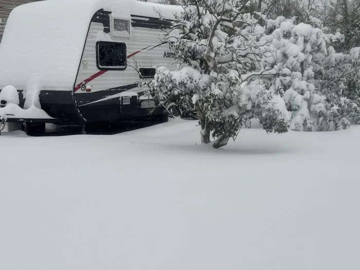 Intracoastal campground & rv park Picture 5