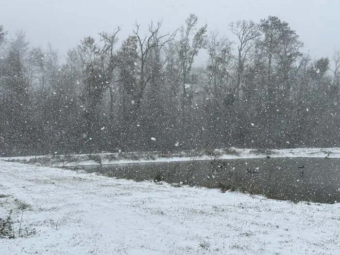 Intracoastal campground & rv park Picture 1