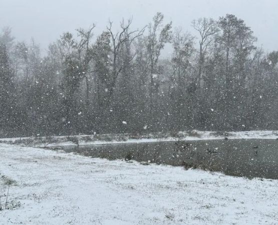 Intracoastal campground & rv park