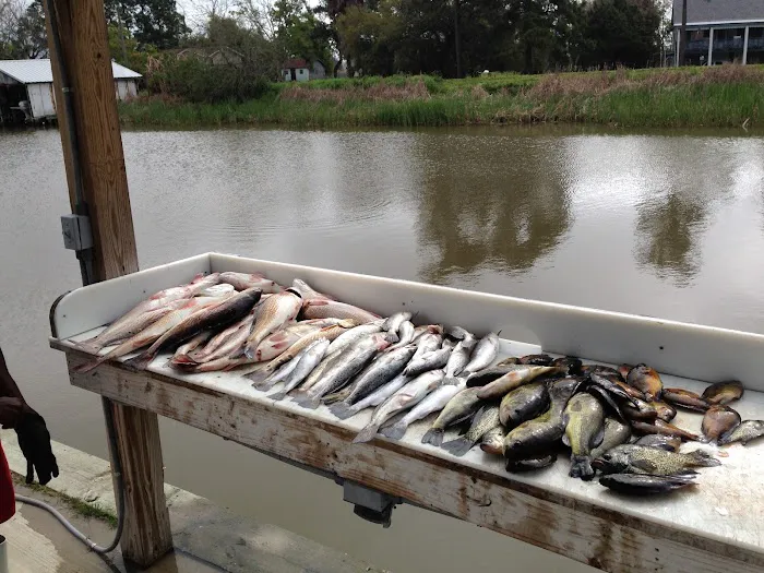 Quality Time Properties RV Campground Picture 9