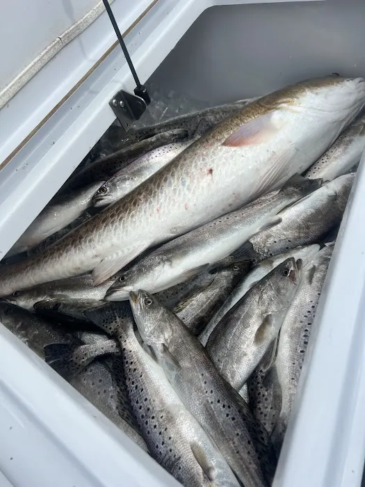 Quality Time Properties RV Campground Picture 10