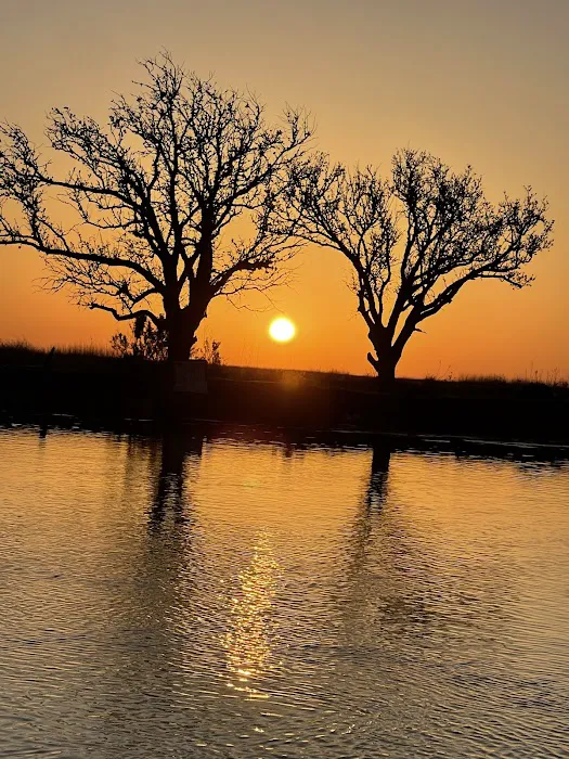 Quality Time Properties RV Campground Picture 2