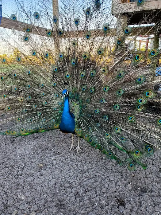 Lagniappe RV Park Picture 5