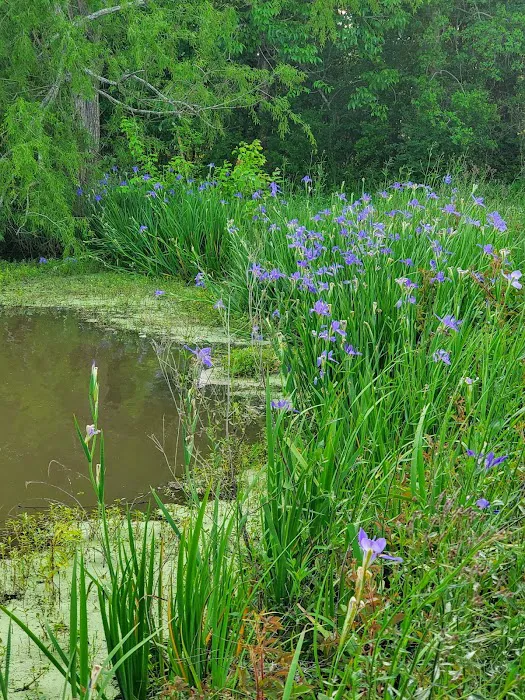 Lagniappe RV Park Picture 3