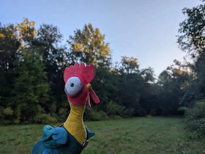 Carruth Scout Preserve Picture 2