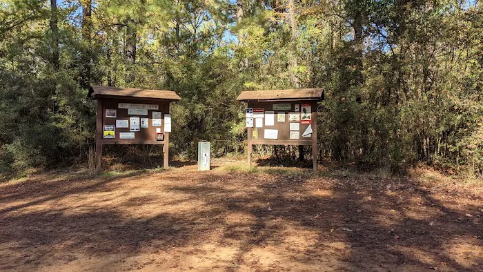 Kisatchie Bayou Campground Picture 6