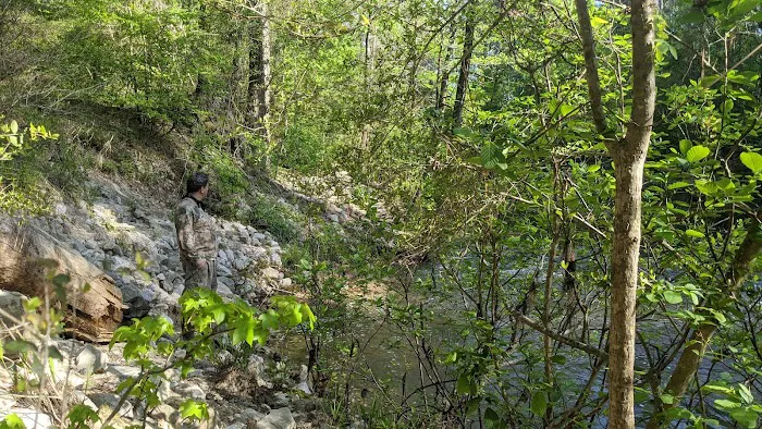 Kisatchie Bayou Campground Picture 3