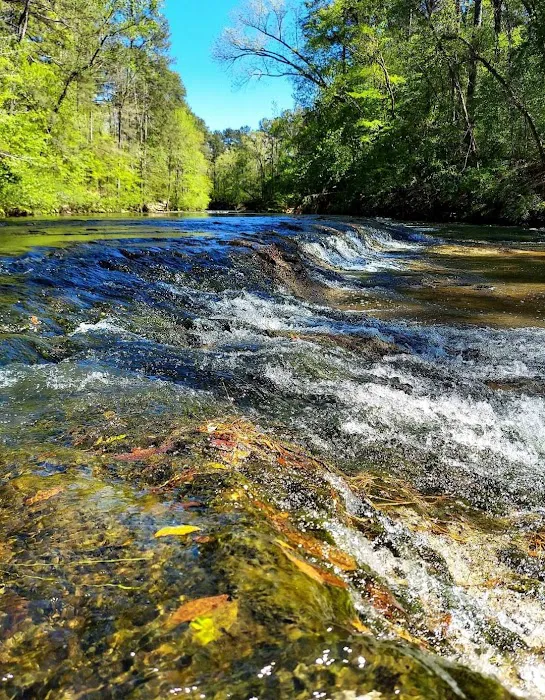 Kisatchie Bayou Campground Picture 7