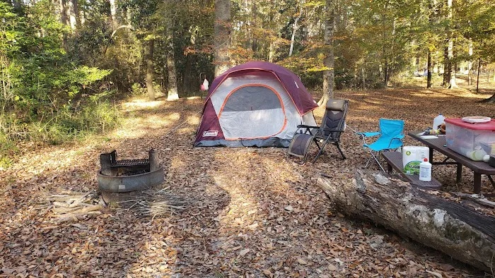 Kisatchie Bayou Campground Picture 2