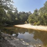 Kisatchie Bayou Campground
