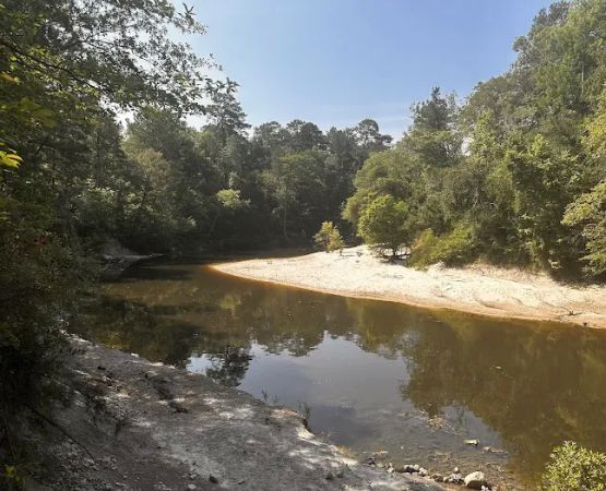 Kisatchie Bayou Campground