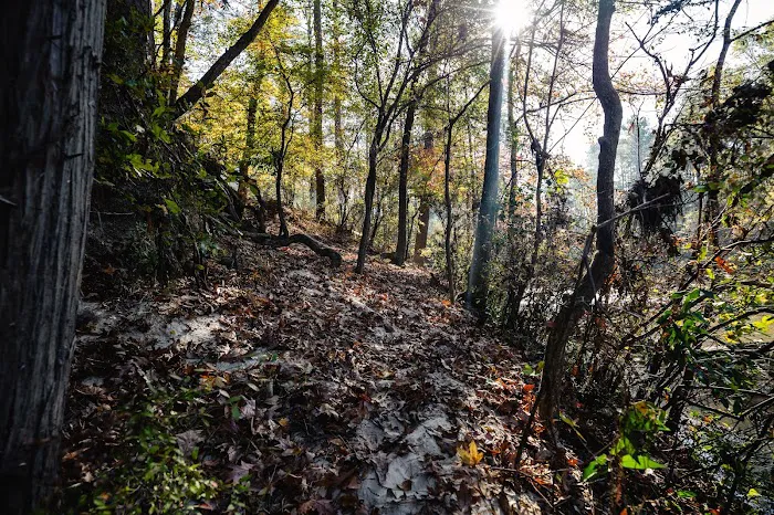 Kisatchie Bayou Campground Picture 10