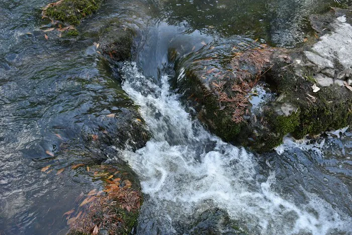 Kisatchie Bayou Campground Picture 4