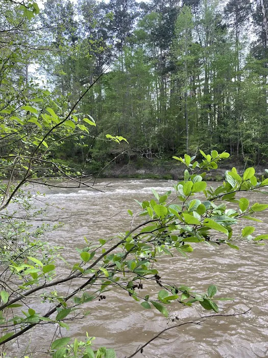Kisatchie Bayou Campground Picture 5