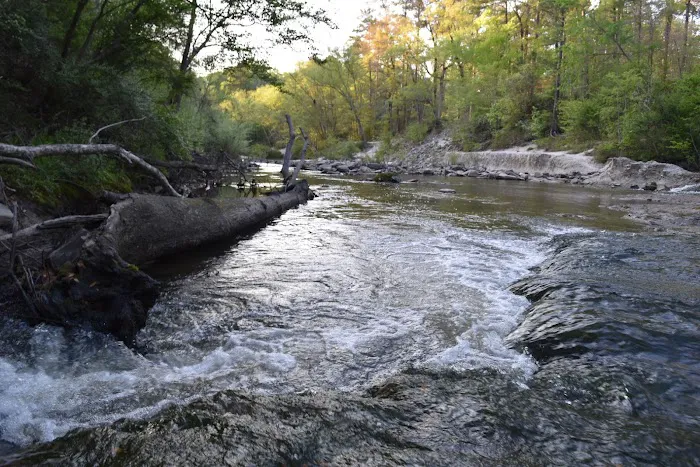 Kisatchie Bayou Campground Picture 9