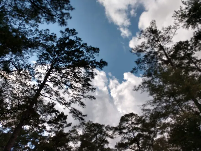 Cloud Crossing Campground Picture 5