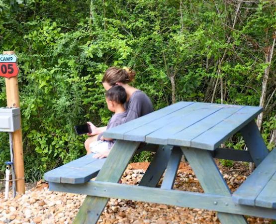 Flynn's Camping Grounds